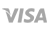 Пластиковой картой Visa